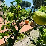 Tatil Evi Dei Limoni Sul Mare *