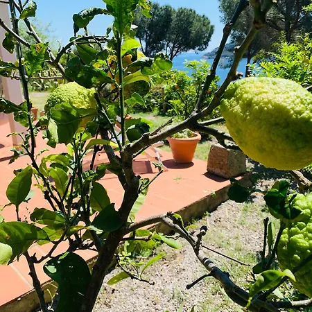 Vakantiehuis Dei Limoni Sul Mare *