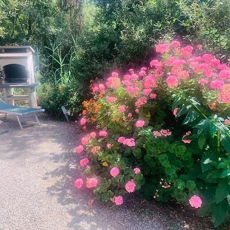 Dei Limoni Sul Mare *