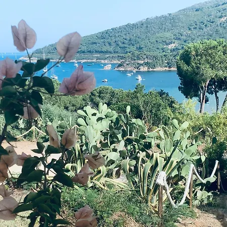Dei Limoni Sul Mare Capoliveri (Isola d'Elba)