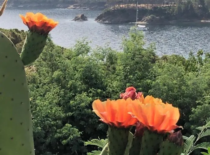 Prázdninový dům Dei Limoni Sul Mare