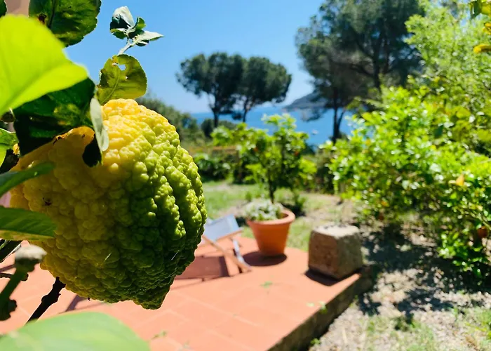 Dei Limoni Sul Mare * Capoliveri (Isola d'Elba)