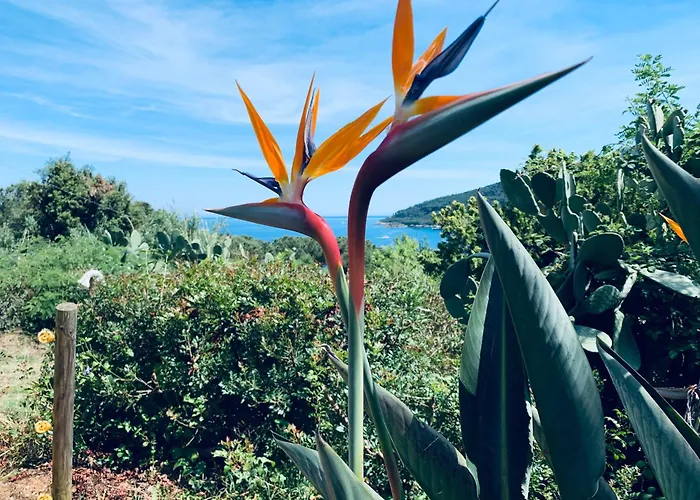 Dei Limoni Sul Mare Prázdninový dům Capoliveri (Isola d'Elba)