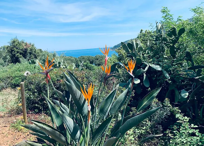 Dei Limoni Sul Mare * Capoliveri (Isola d'Elba)