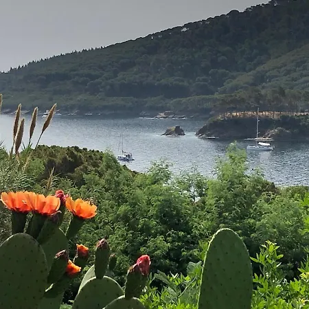Dei Limoni Sul Mare *