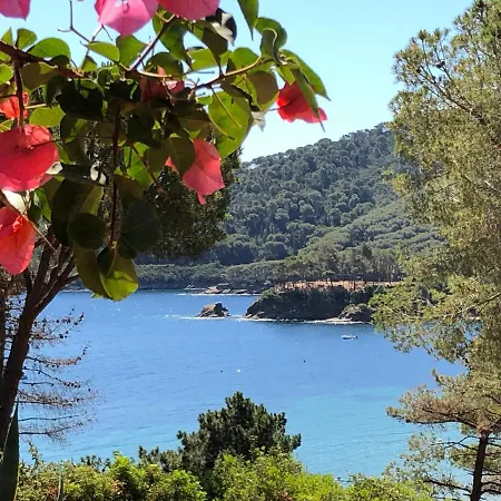 Dei Limoni Sul Mare