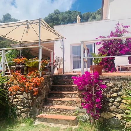 Dei Limoni Sul Mare Capoliveri (Isola d'Elba)