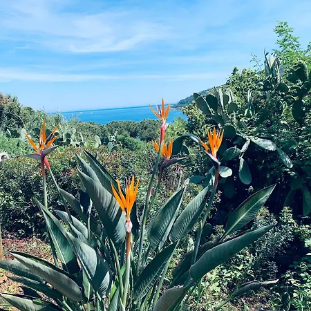 Dei Limoni Sul Mare * Capoliveri (Isola d'Elba)