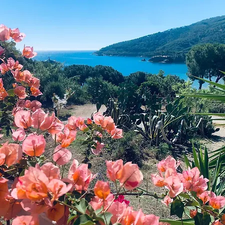 Dei Limoni Sul Mare 펜션