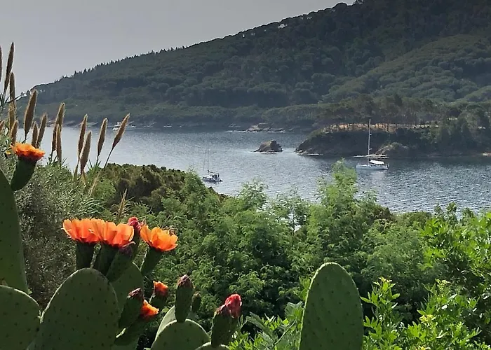 Dei Limoni Sul Mare *