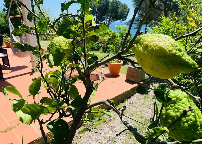 בית נופש Dei Limoni Sul Mare *