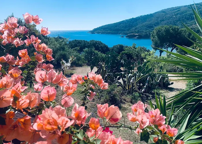 Dei Limoni Sul Mare בית נופש