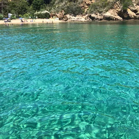 Dei Limoni