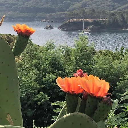 Dom wakacyjny Dei Limoni Sul Mare
