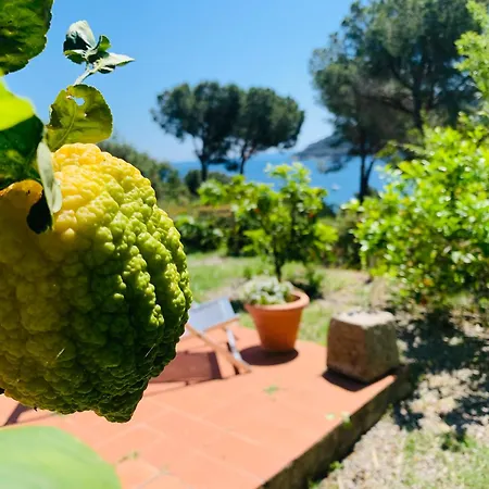 Dei Limoni * Capoliveri (Isola d'Elba)